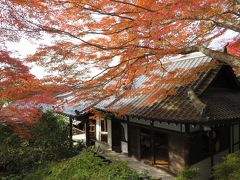 京都の御門跡めぐり２　谷の御所　京都・霊鑑寺門跡  