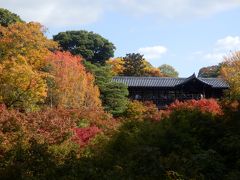 京都の紅葉の中でも有名な東福寺です