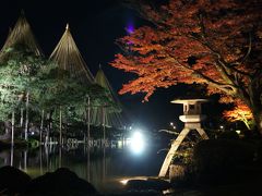 　雪吊り始めました（短い秋と長い冬の金沢が始まりました）