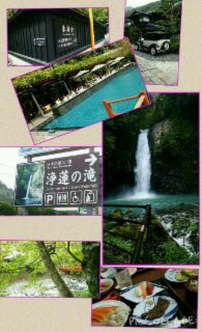 サンバレー伊豆長岡 東府や足湯カフェ 浄蓮の滝 テディベアミュージアム 伊豆長岡温泉 静岡県 の旅行記 ブログ By ゆうさん フォートラベル