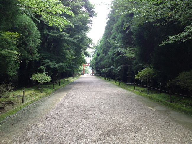 メジャーな観光地を車でまわりました。自然、温泉、桜島、黒豚...鹿児島初心者の自分には大満足な2日間でした！