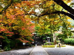 九州の旅　大興善寺（11月17日）