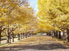 紅葉の昭和記念公園と深大寺