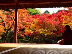 そうだ 京都、行こう。～圓光寺の紅葉を見に～