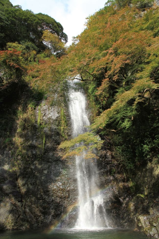 箕面大滝　紅葉はこれからでした。