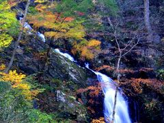 ◆東北最後の紅葉・いわき龍神峡と花滝の名残りもみじ
