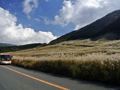 仙石高原すすき野を歩く