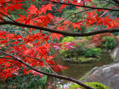 見頃を迎えた金沢・加賀の紅葉をめぐる旅（その2、鶴仙渓と那谷寺は紅葉真っ盛り！）