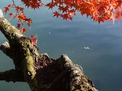 嵯峨大沢池紅葉 20141121