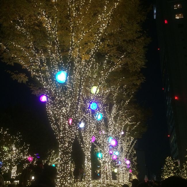 毎日乗り換える新宿駅ですが、南口には用事がないと行きません。<br />今日はOB会が小田急センチュリーサザンタワーであったので、久々に甲州街道渡りました。<br /><br />友人と早めに会って少しブラつく相談がまとまり、Xmasイルミネーションの下を歩いてみました。<br /><br />サザンテラスの今年のイルミネーションはゴールドが主体みたいです。