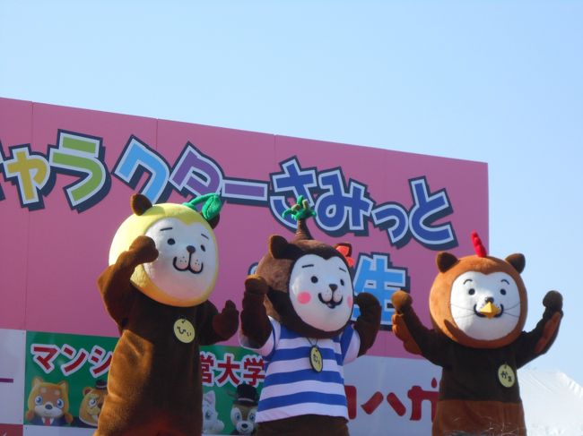 今年は「世界キャラサミット」と名称を変えて、<br />羽生で開催された「ゆるキャラ」まつり(^◇^)<br /><br />今年の羽生駅からのシャトルバス(往復で200円)は<br />観光バスにグレードアップ!<br /><br />しかし・・・<br /><br />去年は会場へ横付けでしたが、今年は降車してから<br />1キロのウオーキング(>_<)<br /><br />会場(入場100円)には昨年と変わらず、<br />たっくさんの「ゆるキャラ」のみなさん♪<br />美味しいものもいっぱい!<br /><br />「ゆるキャラ」とたわむれた後は、<br />3Dマッピングで小笠原のクジラが見られる「墨田水族館」へ。<br /><br />あまかった〜(>_<)<br /><br />3連休のスカイツリーは大混雑。<br />水族館のチケット購入に30分以上。断念です(>_<)<br /><br />では・・・浅草散歩へ切り替え、<br />ライトアップされた浅草を楽しみます。<br /><br />友人は、こどもとお気に入りのキャラを一緒に<br />デジカメにおさめ、年賀状にすると大張りきり!<br /><br />年賀状の撮影にも「ゆるキャラ」さん、オススメです(^◇^)<br /><br /><br />