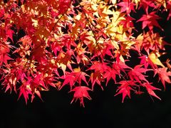紅葉と日本人のこころ・・・明日香から談山神社を歩く