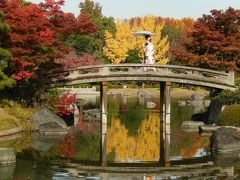 『本日はお日柄もよく。。。夢想』　大仙公園　日本庭園の紅葉　