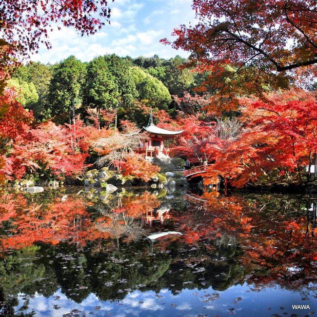 カメラをポケットに紅葉の醍醐寺まで連休に出かけて見ました。<br />大阪からＪＲで京都駅の一つ先の山科駅、地下鉄へ乗り継ぎ醍醐駅から徒歩１０分程で醍醐寺総門に到着。この時点で９時２０分、朝一番のためか人出はちらほら程度。<br />