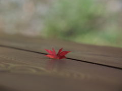 秋の奈良　古きものに会いに行く　