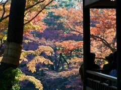 武蔵国分寺　（史跡と紅葉を求めて）