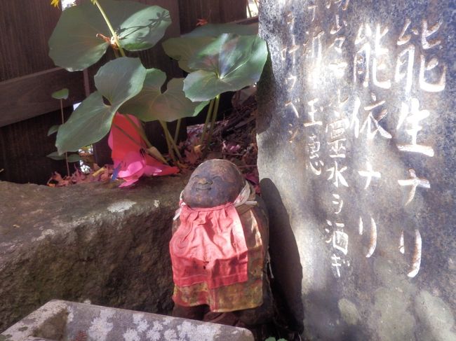 ついに来た ハイキング部3年目にして初の六甲遠征 紅葉の再度山ハイク 六甲山 摩耶山周辺 兵庫県 の旅行記 ブログ By はなまま さん フォートラベル ついに来た ハイキング部3年目にして初の六甲遠征 紅葉の再度山ハイク 六甲山 摩耶山周辺 兵庫県 の旅行記 ブログ By はなまま さん フォートラベル
