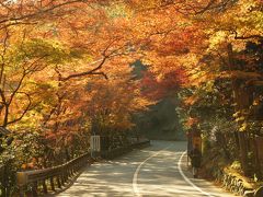 京都 三尾（栂尾 高山寺・槇尾 西明寺・高雄 神護寺）めぐり