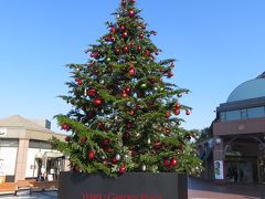 晩秋の祐天寺と煌きのクリスマスin丸の内