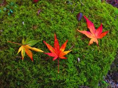 室生寺と紅葉