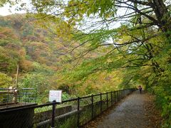 雨と紅葉の「抱返り渓谷」散策記