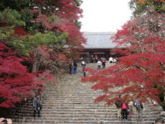 紅葉の京都2014　～その１　高雄～