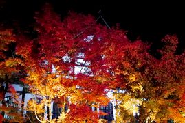 2014.11紅葉の京都へ役得出張旅行2-永観堂　禅林寺の夜の紅葉ライトアップ