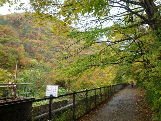 紅葉の名所として有名な抱返り渓谷を散策してきました。<br />当日は１２月上旬並みの寒さ（最高気温９℃）、雨ザーザーという運のなさでしたが、紅葉はちょうど見ごろだったようです。渓谷美とともに楽しんできました。