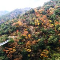 九州の旅（最後）　五家荘平家の里と吊り橋二つ（11月20日）