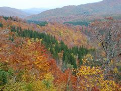 栗駒山の紅葉