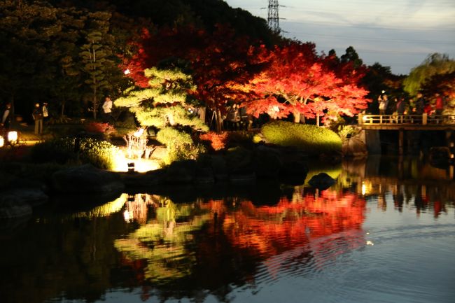 一年に一度　１１月２３日にだけ行われる　紅葉ライトアップに<br />行ってきました　素晴らしい写真がたくさん撮影出来ました<br />ココに来ればわざわざ京都に行く必要なし　京都にも負けていないよ！！<br />観光客も　むちゃくちゃ多いわけでもなく　何より三脚OKなのが<br />われわれ　カメラマンには嬉しいです　ライトアップにうっとりし<br />その後堺市役所２１階展望台より　夜景撮影しまして帰ってきました。