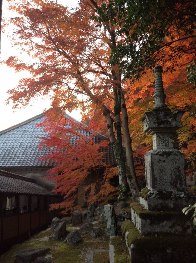 滋賀県で有名な紅葉の名所、永源寺に行ってきました。色とりどりの紅葉に魅了されました。
