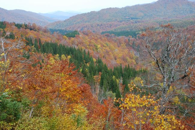 帰省最終日に、秋の栗駒山は登ったことがないので、行って見ることにしました。紅葉がとても綺麗で絶景でした。お勧めです。