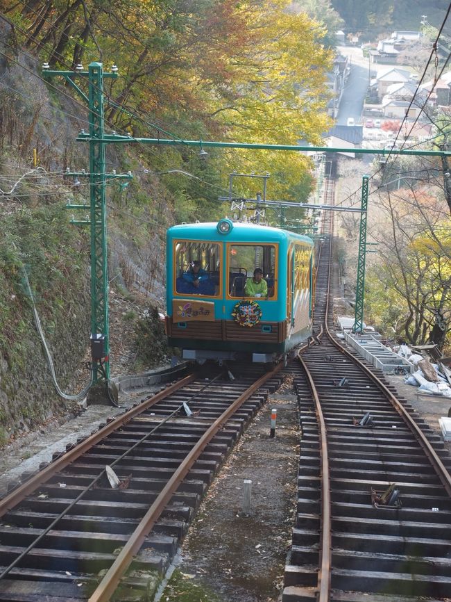 毎年、能勢を訪れている。景色もよい、東京の高尾山の雰囲気もまたよし。特に紅葉の季節は、秋の終わりとこれからの冬の佇まいを思わせる。能勢電車の趣は阪急電車の系列とは想像できなレトロ感と街並みが遠い子供の頃を思い起こさせる。夏のバーベキューの時期もよいが、やはり、能勢は紅葉の秋です。