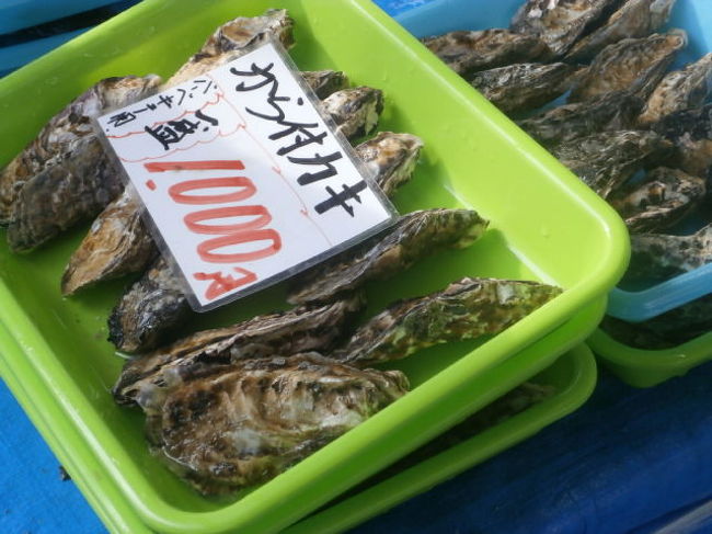毎年冬になると楽しみなのが瀬戸内の牡蠣です。<br /><br />年末から食べごろになり、年が明けるとぐんと太くなる牡蠣、でも　火気漁が始まったと聞くとついつい足が向いてしまいました。<br /><br />紅葉と牡蠣を求めて、兵庫県南西部の旅です。