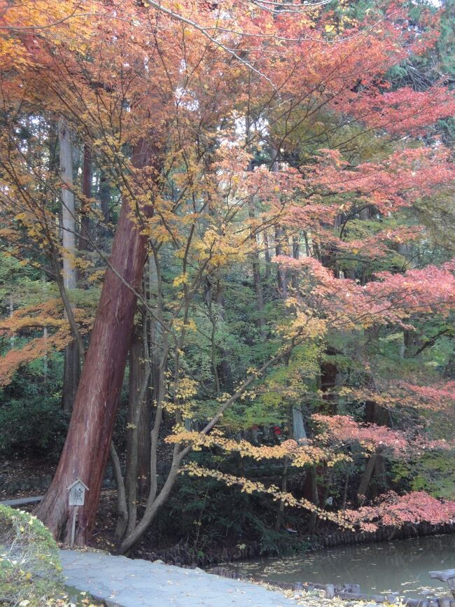 紅葉シーズンに鹿教湯温泉（かけゆおんせん）に行ってきました。<br />今回は2日目朝に嵐になってしまい早々に帰宅(T_T)<br /><br />●11/09(土)<br />・別所温泉 北向観音<br />・鹿教湯温泉 河鹿荘(宿泊)<br /><br />●11/10(日)<br />・鹿教湯温泉散策 ⇒ 嵐になり途中切上げ<br />・小諸懐古園 ⇒ 嵐になり中止