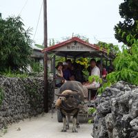 石垣島、いいところだった