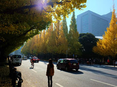 神宮外苑銀杏並木　黄葉　と　消え行く日本青年館有難う。