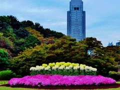 新宿御苑-1　菊花壇展1/8　露地花壇・日本庭園　☆皇室ゆかりの伝統を受け継ぎ