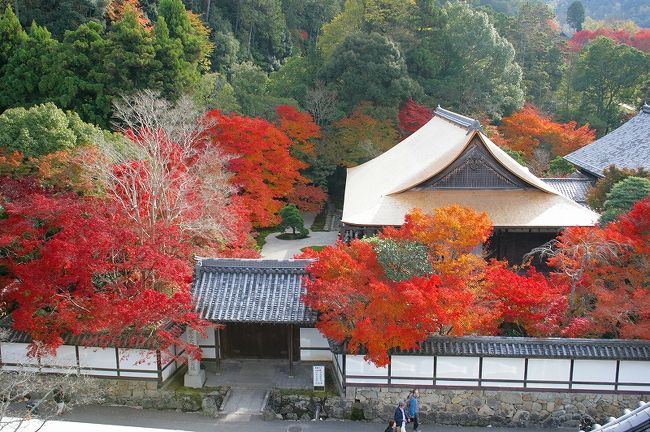 　バスツアーで京都有名紅葉8ヶ所巡りに効率よく連れて行ってもらえると期待し便乗した。でも・・・どことも、人、人の混雑ぶり、更に外国人の多さにも一寸驚きでした。巷で噂されている「円安」「おもてなし」の効果でしょうか？特に台湾・中国・香港・シンガポールの方々でした。尚、石清水八幡宮では禰宜さんの解説付き見学で、曰わく因縁故事来歴を承り、お祓いも受け有意義でした。嵐山での遊覧船観光には日没に掛かって紅葉より夕暮れの中の風景のみで一寸残念でした。一日快晴がなによりのプレゼントでした。