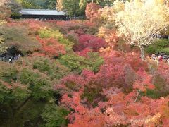2014 秋の京都　のんびり♪ウットリ☆　東福寺　紅葉散歩