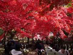 紅葉真っ盛りだった大山 阿夫利神社＆大山寺
