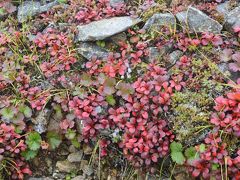 白馬岳の山旅