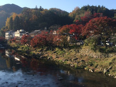 10年ぶりに地元の紅葉名所香嵐渓へ