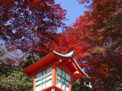 秋の足利日帰り旅～ぐるワンバスでめぐる織姫神社、もみじ谷、ココ・ファーム・ワイナリー＆フラワーパークイルミネーション