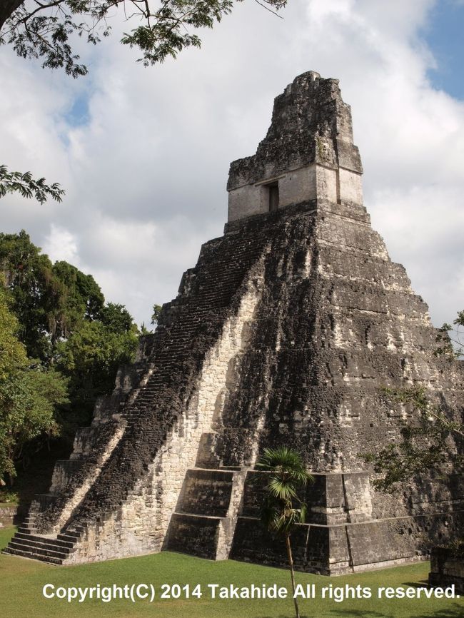フローレスから国立公園一帯が世界遺産に登録されてるティカルへ。<br />表紙は、グラン・プラサ(Gran Plaza)の東側に面する高さ51mのＩ号神殿(Templo I)です。上部入口で巨大なジャガーの彫刻が発見されたため、大ジャガーの神殿(Templo del Gran Jaguar)とも呼ばれます。<br /><br /><br />ティカル：http://ja.wikipedia.org/wiki/%E3%83%86%E3%82%A3%E3%82%AB%E3%83%AB<br />ティカル：http://www.tikalpark.com<br />世界遺産：http://whc.unesco.org/en/list/64/<br />?号神殿：http://en.wikipedia.org/wiki/Tikal_Temple_I