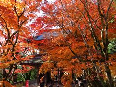 琵琶湖ぐるっと一周 ～ 紅葉ドライブ　～　２日目は。。。“永源寺と教林坊の紅葉を愛でました～”