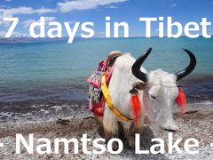 7 days in Tibet22★ナムツォ湖★天の湖とヤク！