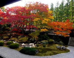2014.11紅葉の京都へ役得出張旅行4-御寺　泉涌寺　御座所庭園のすばらしい紅葉！