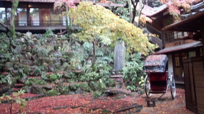 昼飯を食べたついでに紅葉を観賞しました<br />音羽山荘の入り口を入るとこの景色でお出迎えは感激です<br />今日の雨で紅葉の絨毯を拝見できました